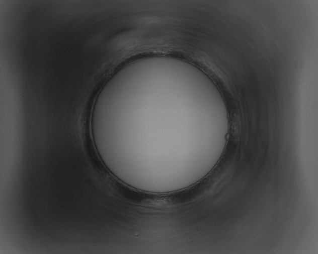 X0000100960639200806241144