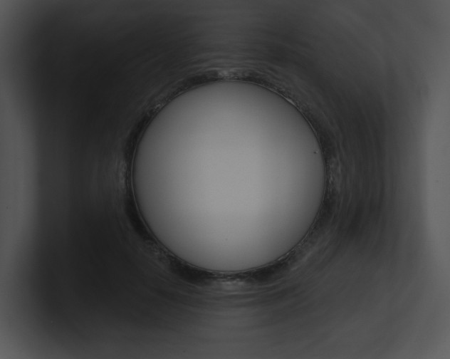 X0000100960650200806241144