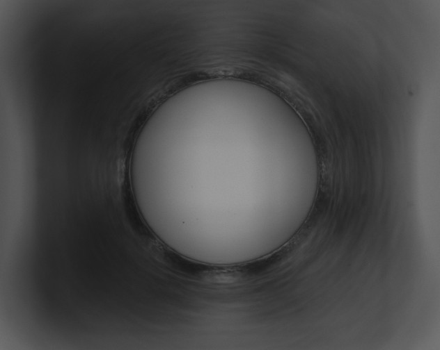 X0000100960652200806241144