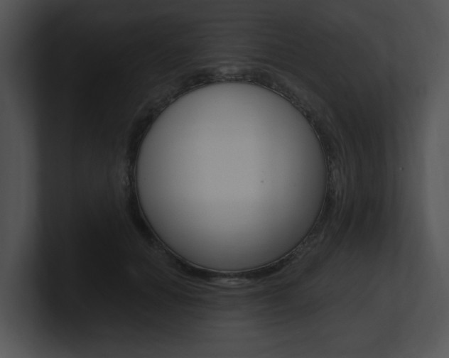 X0000100960654200806241144