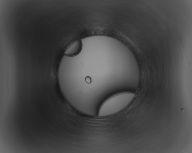 X0000100960661200806241144