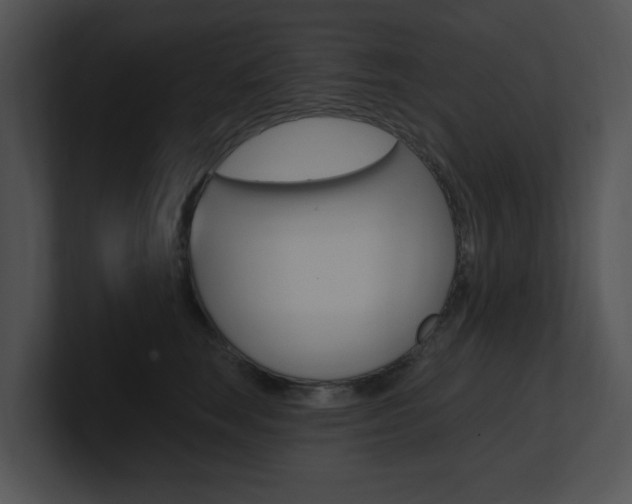 X0000100960663200806241144