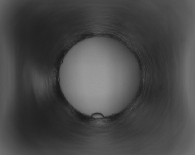X0000100960664200806241144
