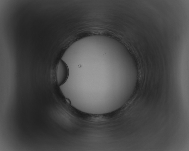 X0000100960666200806241144