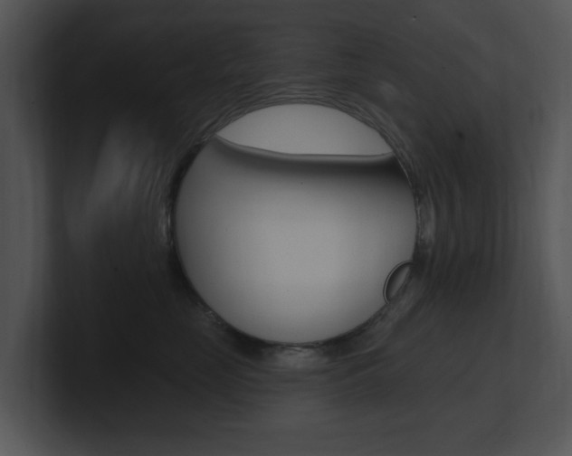 X0000100960669200806241144