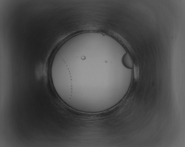 X0000100960675200806241144