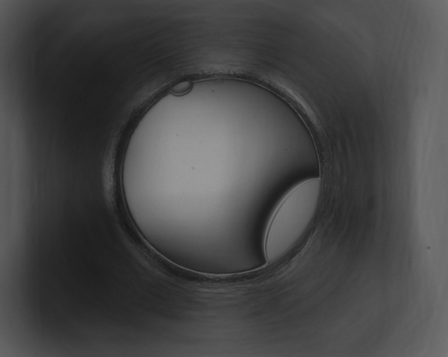 X0000100960677200806241144