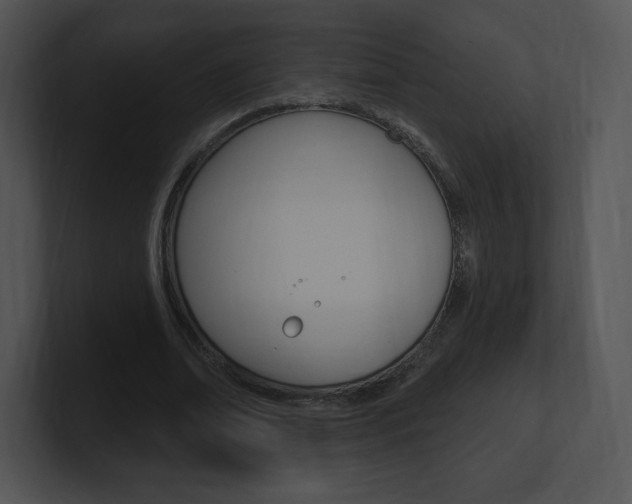 X0000100960678200806241144