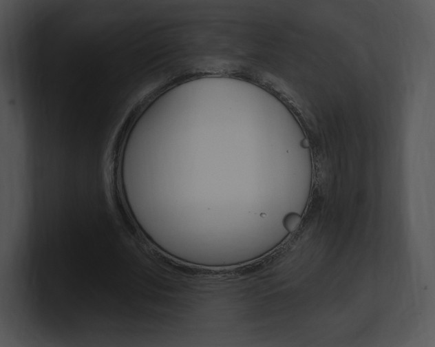 X0000100960679200806241144