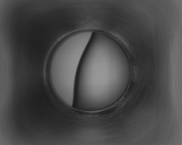X0000100960680200806241144