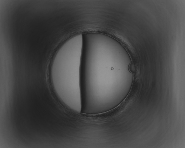 X0000100960681200806241144