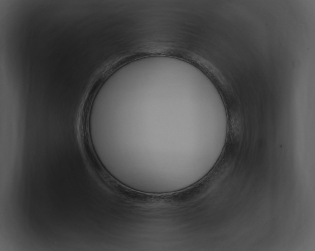 X0000100960682200806241144