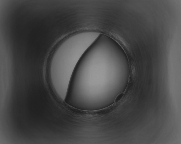 X0000100960684200806241144