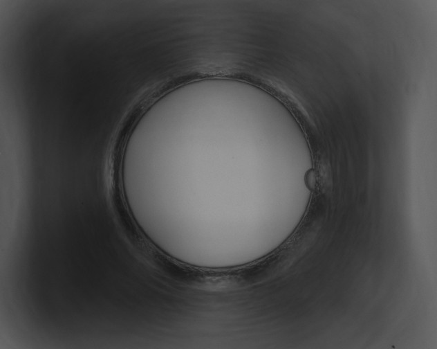 X0000100960686200806241144