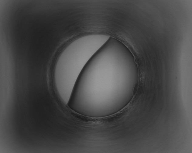 X0000100960688200806241144
