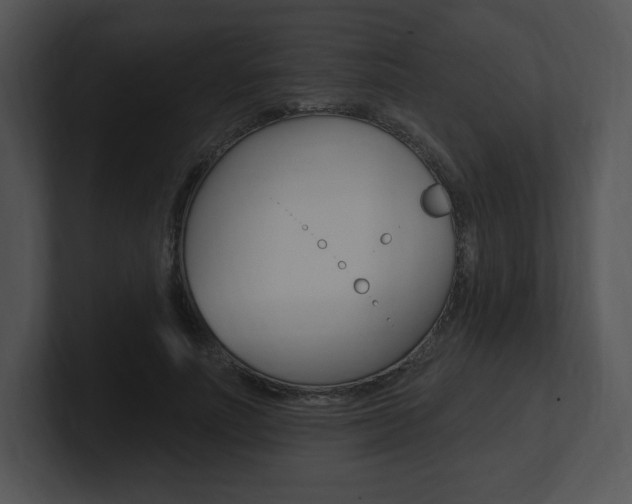 X0000100960691200806241143