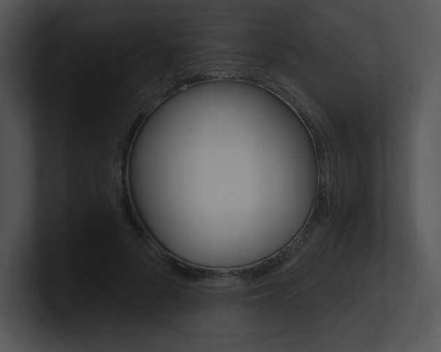 X0000100960696200806241143