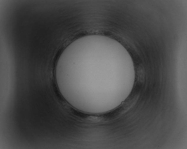 X0000100960699200806241143