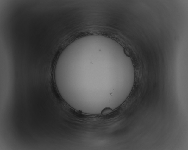 X0000100960702200806241143