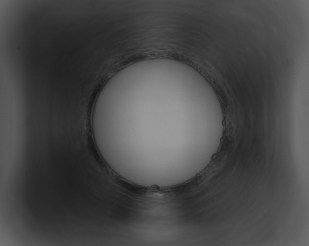 X0000100960706200806241143