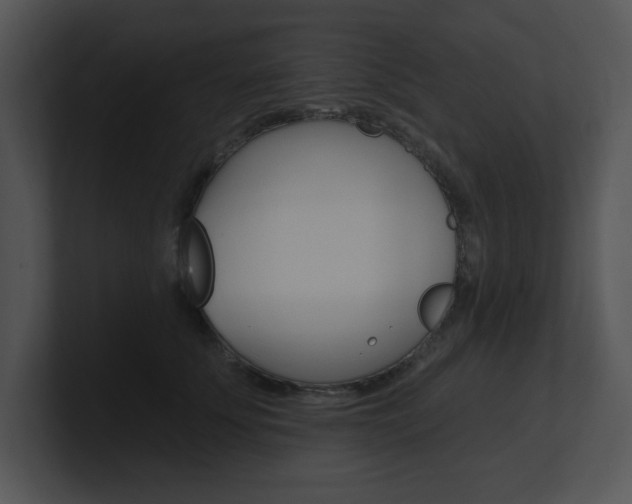 X0000100960707200806241143