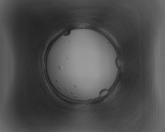 X0000100960721200806241142