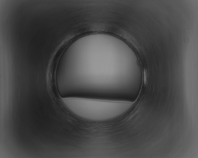 X0000100960723200806241142