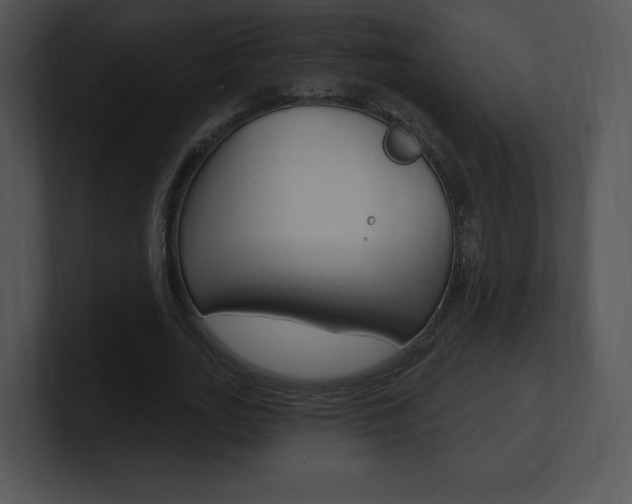 X0000100960727200806241143