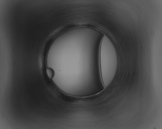 X0000100960732200806241143