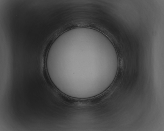 X0000100960733200806241143