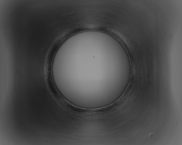 X0000100960736200806241143