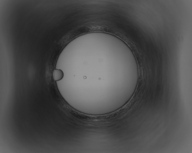 X0000100960737200806241143
