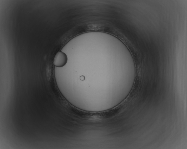 X0000100960741200806241143