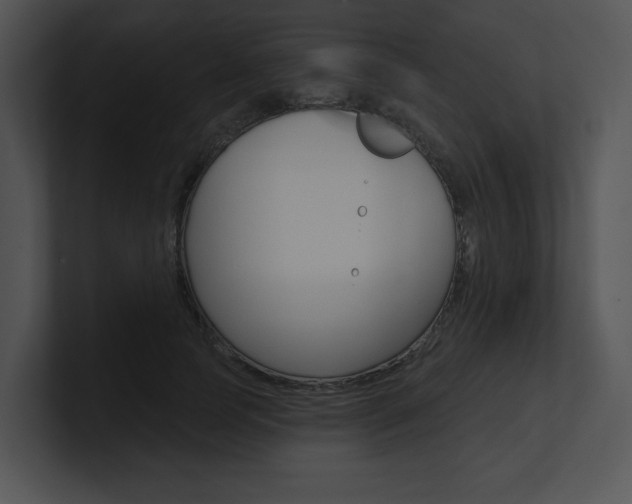 X0000100960745200806241143