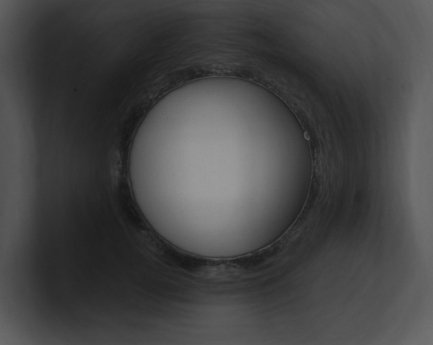 X0000100960752200806241143