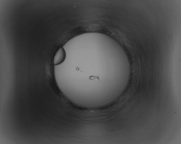X0000100960755200806241143