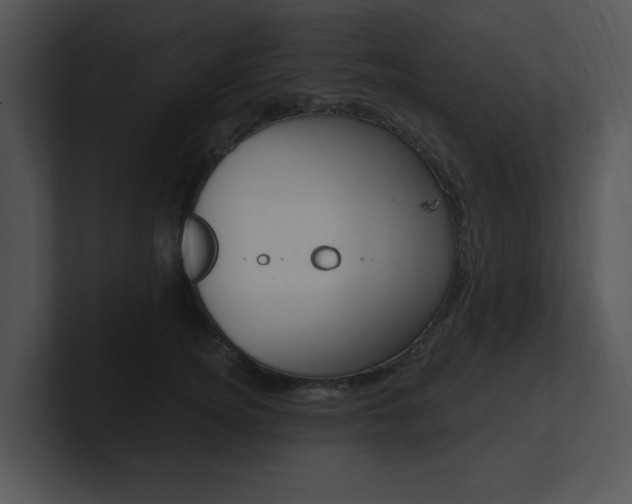 X0000100960756200806241143