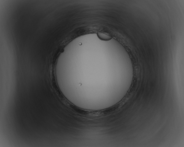 X0000100960757200806241143