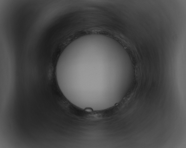 X0000100960760200806241143