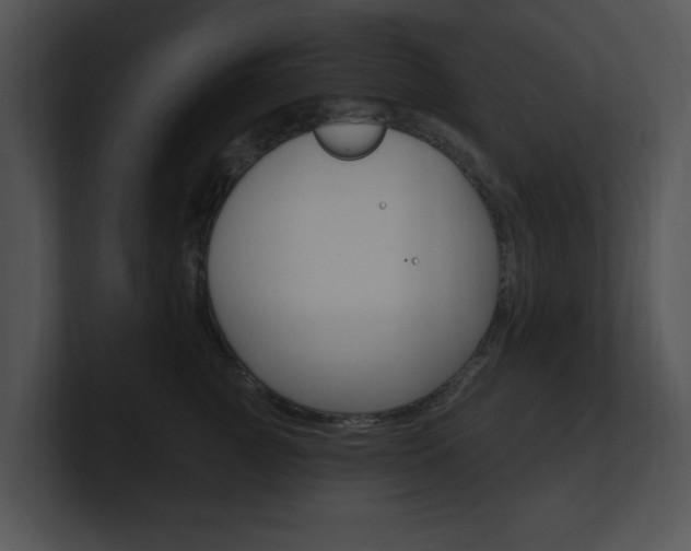 X0000100960761200806241143