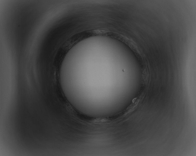X0000100960762200806241143