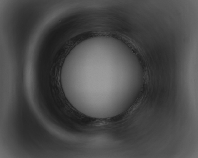 X0000100960764200806241143