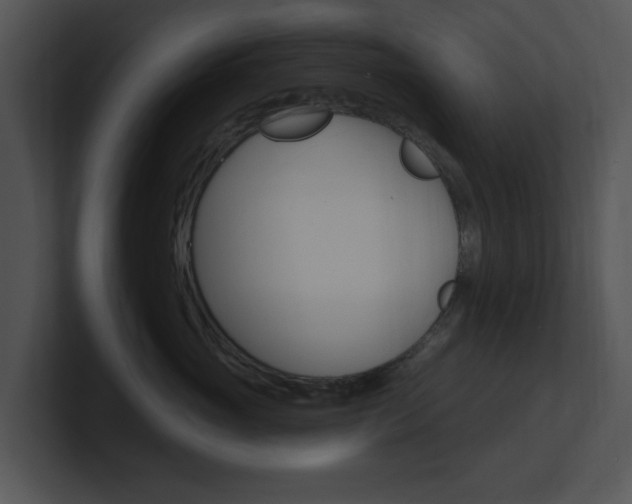 X0000100960765200806241143