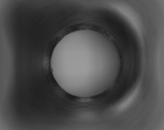 X0000100960767200806241143
