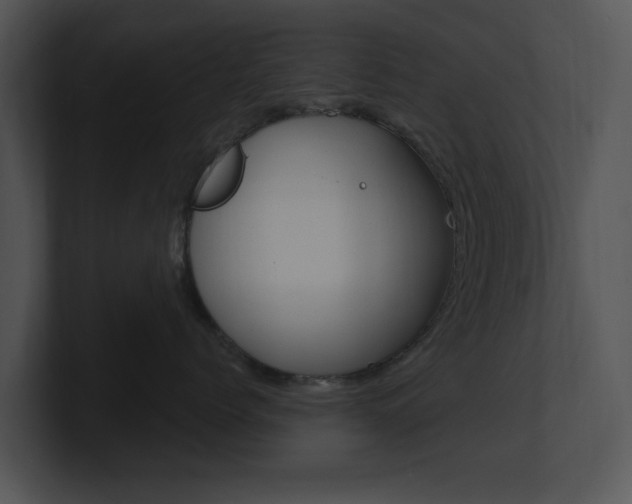 X0000100960768200806241143