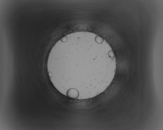X0000100960769200806241142