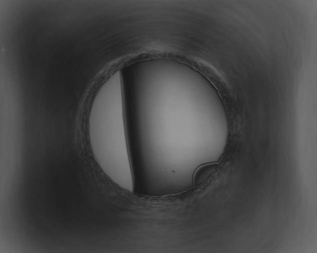 X0000100960776200806241142