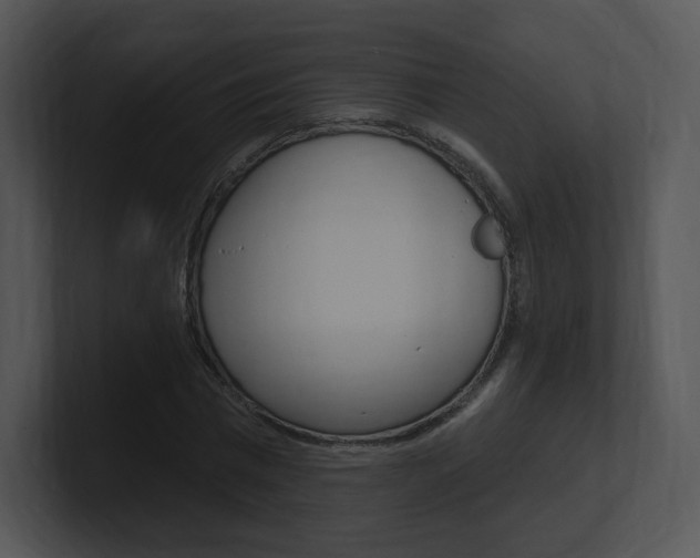 X0000100960777200806241142