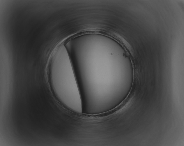 X0000100960779200806241142