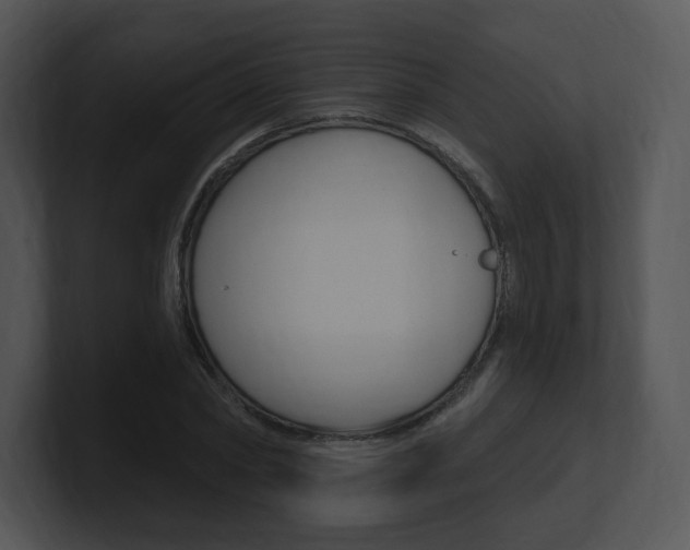 X0000100960782200806241142